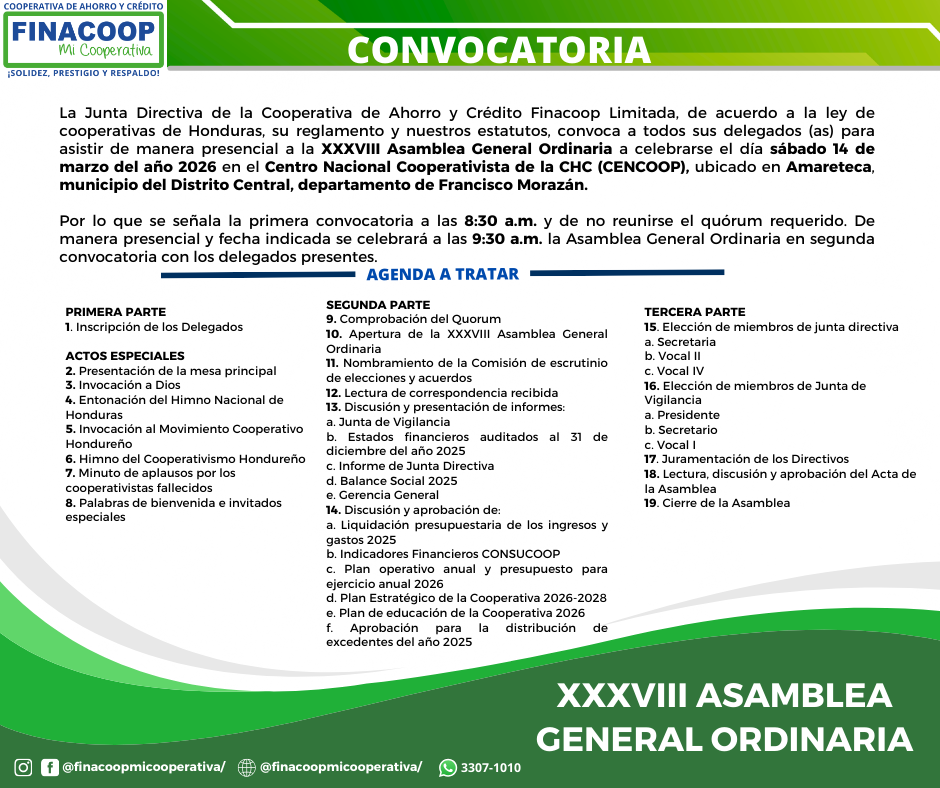 Convocatorias Asambleas Locales 2024